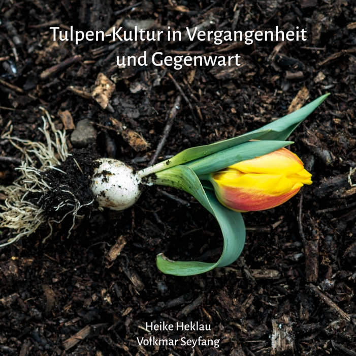 Tulpen-Kultur in Vergangenheit und Gegenwart